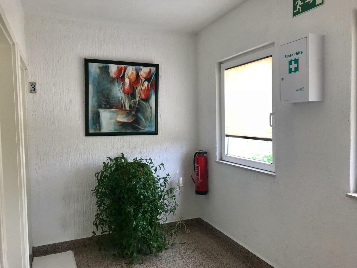 טרוגיר Apartments Zdravko מראה חיצוני תמונה